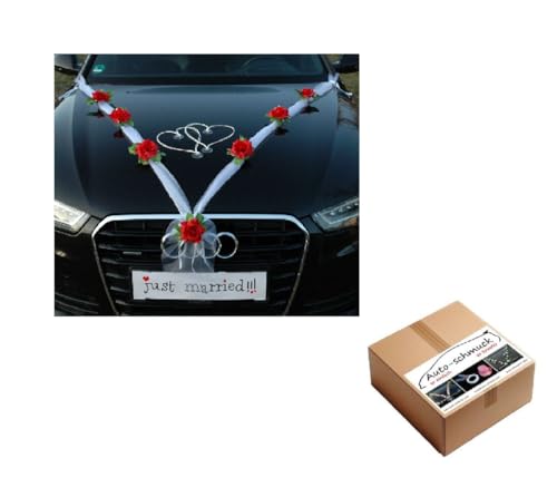 Organza M + CUORI - Decorazioni per auto, nastro in organza... - Auto & Moto Amazon Italie à 8.33€