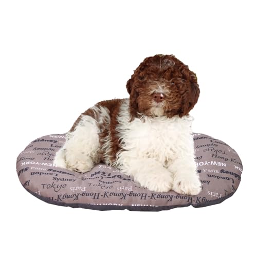 Ferplast Relax Cuscino per Cani e Gatti, Cuccia Cani... - Animalerie Amazon Italie à 11.90€