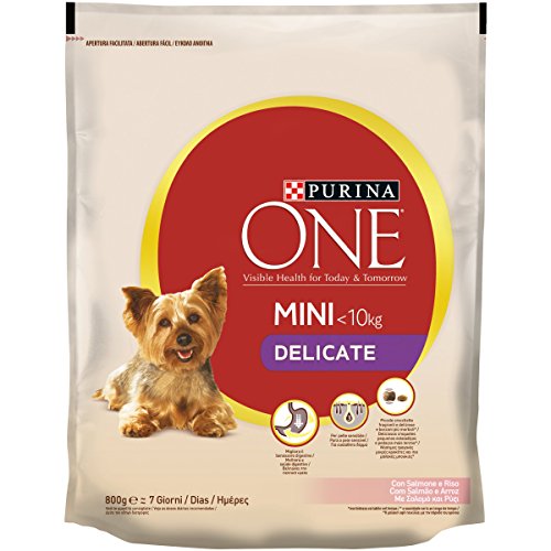 Purina ONE Mini Croquettes pour Chien avec Saumon et Riz... - Animalerie Amazon France à 4.37€