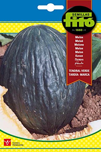 Semillas Fitó 219 - Semillas de Melón Tendral Verde Tardía... - Jardin & Extérieur Amazon Espagne à 1.99€