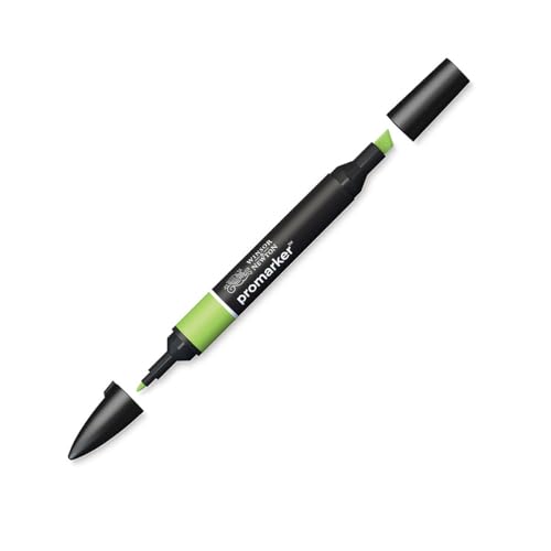 Winsor & Newton Rotulador ProMarker, Leaf Green (G258)... - Bon plan à 2.00€