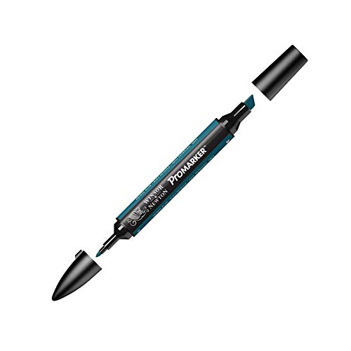 Winsor & Newton Rotulador ProMarker, Petrol Blue (C824)... - Animalerie Amazon Espagne à 2.00€