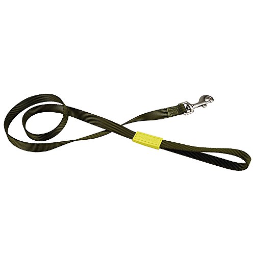 Beeztees 746547 Nylonleine "Uni", 120 x 2.5 cm, hellgrün - Animalerie Amazon Allemagne à 7.23€