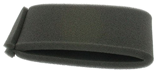 Greenstar 5666 Préfiltre pour Robin - Auto & Motorcycle Amazon France à 3.85€