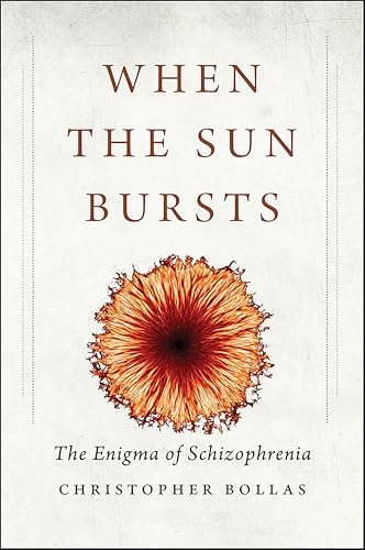 When the Sun Bursts: The Enigma of Schizophrenia - Amazon Royaume-Uni à 2.99€