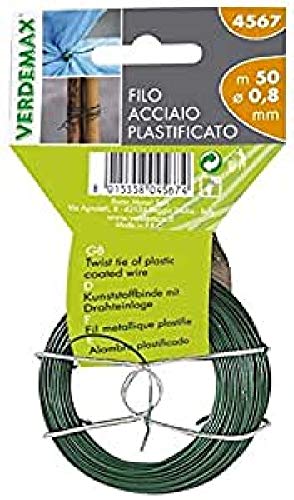 Verdemax 4567 0,8 mm x 50 m, Bobina Filo in Acciaio Rotondi... - Amazon Italy à 5.15€