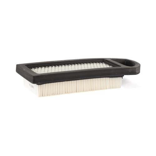 Briggs & Stratton 794422 Air Filter Cartouche - Auto & Moto Amazon France à 10.58€