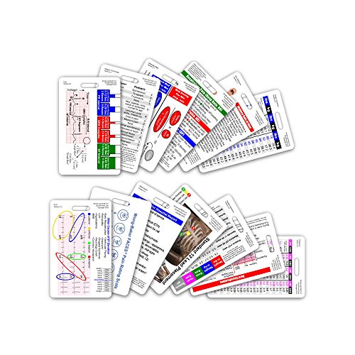 Complete EMS Vertical Badge Card Set - 12 Cards by Scrubs... - Auto & Moto Amazon Allemagne à 11.46€
