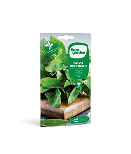 Eurogarden - Semillas de Salvia Officinalis, Planta... - Jardin & Extérieur Amazon Espagne à 1.55€
