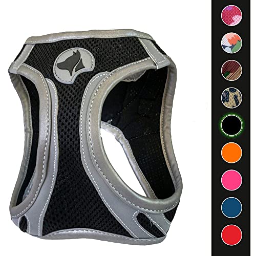 Croci C5081644 Hiking Geschirr Reflective M - Sports & Fitness Amazon Allemagne à 7.11€