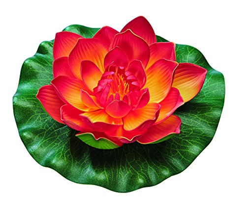 Pontec Kit Complet PondoLily, Orange | Décoration de Bassin... - Maison & Cuisine en promo à 3.00€