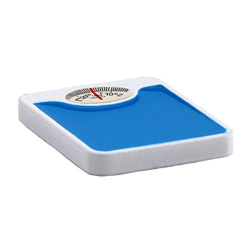 MyTinyWorld Dolls House Miniature White And Blue Metal... - Sports & Fitness Amazon Royaume-Uni à 2.00€