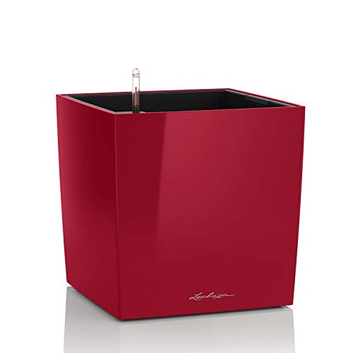 Lechuza – Pot de Fleurs d'Interieur – Premium Cube –... - Garden & Outdoor Amazon France à 68.99€