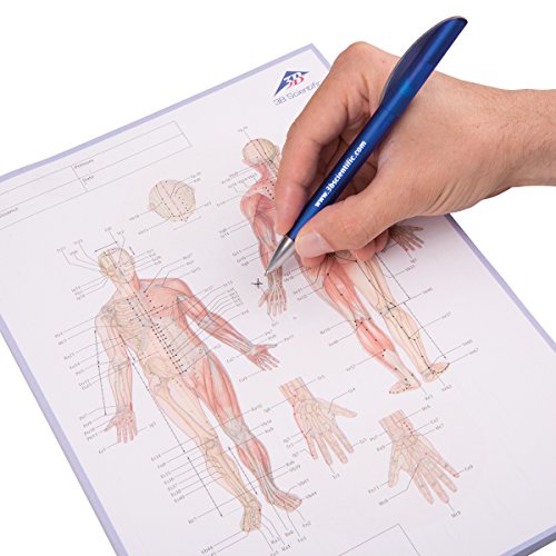 3B Scientific 1017883 Agopuntura Meridian Blocco Note - Bricolage & Outils Amazon Italie à 7.93€