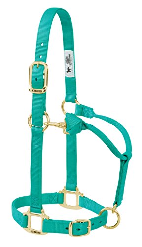 Weaver Leather Original Adjustable Nylon Horse Halter... - Amazon Royaume-Uni à 16.25€