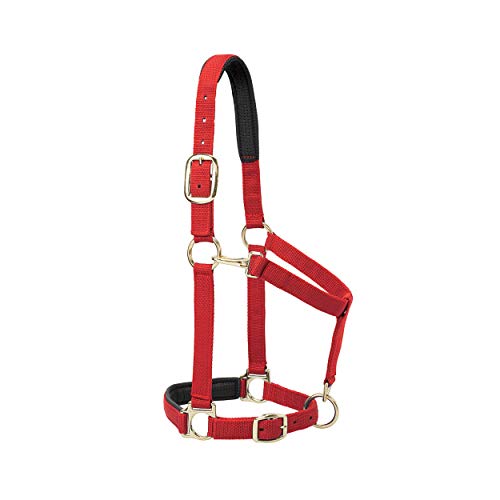 Weaver Leather Weaver Equine Breakaway Caballo Halter... - Sports & Fitness en promo à 18.98€