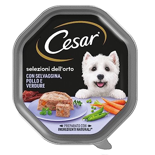 Cesar 14 Vaschette, Ricette di Campagna Pollo Selvaggina e... - Animalerie Amazon Italie à 1.19€