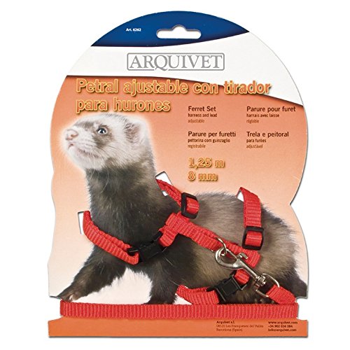 Arquivet Ferret Petal - Path - 1.25 m / 8 mm - Animalerie Amazon Royaume-Uni à 4.37€