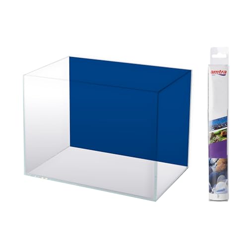 Amtra Sfondo Doppio Black/Blue - Sfondo Poster per... - Amazon Italy à 7.99€