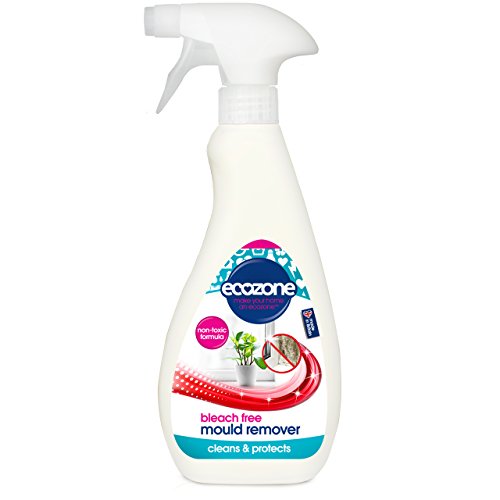 EcoZone Mould Remover, Bleach Free Anti-Bacterial Non Toxic... - Sports & Fitness Amazon Royaume-Uni à 3.40€