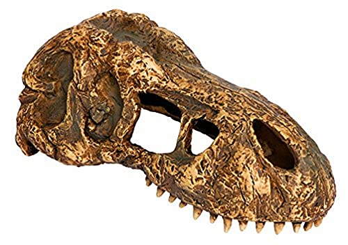 Exoterra T-Rex Skull Décoration pour Reptile/Amphibien... - Maison & Cuisine Amazon France à 7.59€