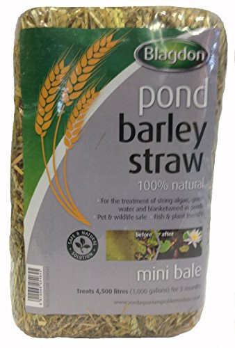 Blagdon Pond Barley Straw Bale, Small, Clears Algae, Green... - Maison & Cuisine Amazon Royaume-Uni à 11.87€