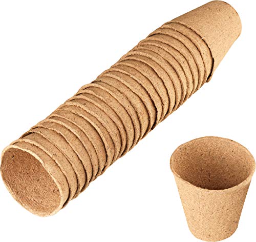 Sunflower FLOR79100 Set da 24 Vasetti Biodegradabili... - Home & Kitchen Amazon Italy à 5.83€