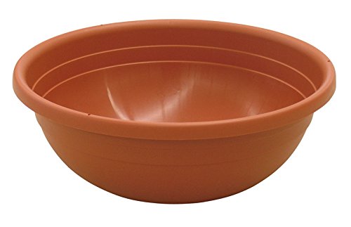 Ics Tazón De Flores - Maison & Cuisine Amazon Espagne à 4.40€