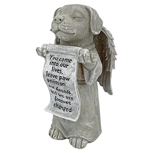 Design Toscano Statuette pour mémorial de chien, empreintes... - Animalerie Amazon France à 14.29€