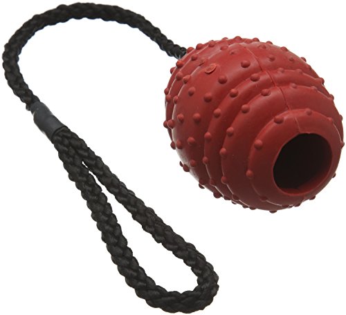 Classic Pet Products Balle en Caoutchouc Ovale sur Une... en promo à 8,92€ (-49%) sur Amazon FR