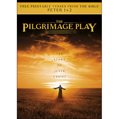 The Pilgrimage Play [USA] [DVD] en promo sur Amazon