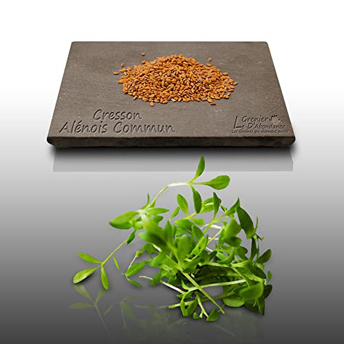 1000 graines Aromatiques à semer - Le Grenier d'Abondance... - Jardin & Extérieur Amazon Italie à 2.85€