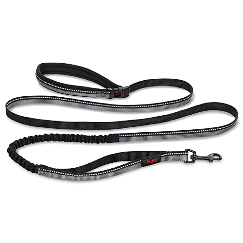 Laisse pour Sportifs HALTI - Laisse élastique Chien.... - Animalerie Amazon France à 11.08€