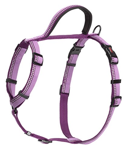 HALTI Walking Harness, Size Medium, Purple, Best... - Maison & Cuisine Amazon Royaume-Uni à 6.49€