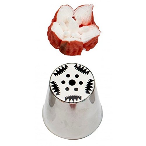 Decora 247 Tulipano Chiuso Cornetto Blisterato, Acciaio... - Sports & Fitness en promo à 2.75€