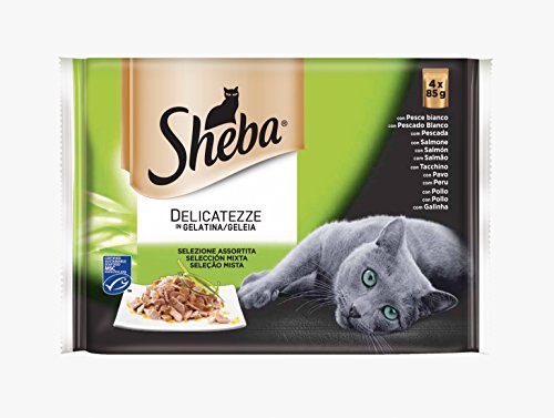 Sheba Delicatessen Mix Carne & Pescado en Gelatina, 4X85... - Pet Supplies Amazon Italy à 9.74€