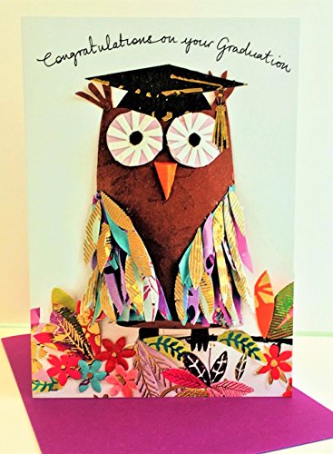Paper Rose Owl Congratulations Graduation Card - Auto & Moto Amazon Royaume-Uni à 2.00€