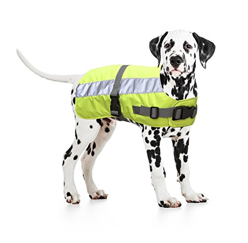 Duvo+ Flectalon Hi - Cappotto Ruglengte per cane, 75 cm... - Maison & Cuisine Amazon Italie à 44.54€