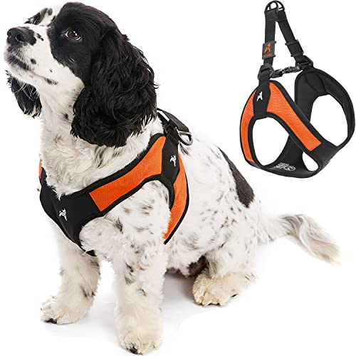 Gooby Easy Fit Step-In Harness Light and Comfortable... - Maison & Cuisine Amazon Royaume-Uni à 16.77€