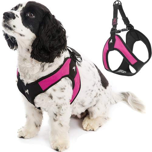 GOOBY Easy Fit Harnais pour Chien de Petite et Moyenne... - Animalerie en promo à 23.41€