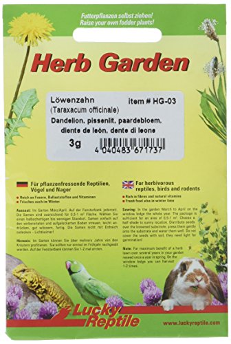 Lucky Reptile HG-03 Herb Garden - Dente di Leone, 3 g - Jardin & Extérieur Amazon Italie à 5.86€