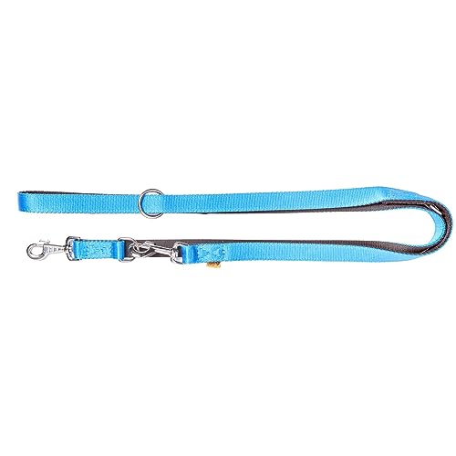 Dingo 14674 - Guinzaglio per cani, colore: Blu con... - Animalerie Amazon Italie à 17.84€