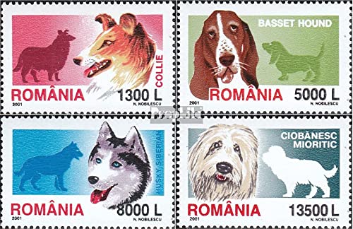 Prophila Collection Rumania 5574-5577 (Completa.edición.)... - Livres & eBooks Amazon Espagne à 1.89€