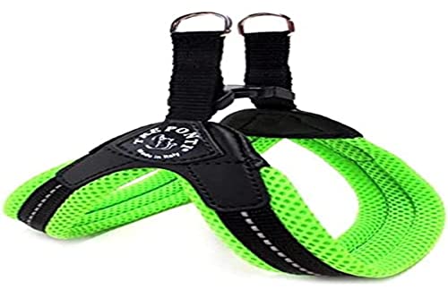 Pettorina in Rete Fluo Ch Plast 4 Verde - Animalerie Amazon Italie à 29.50€
