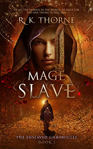 Mage Slave en promo sur Amazon