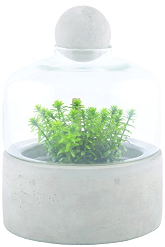 Esschert Design AGG43 bottiglia Terrarium Planter con base... - Garden & Outdoor Amazon Italy à 51.31€