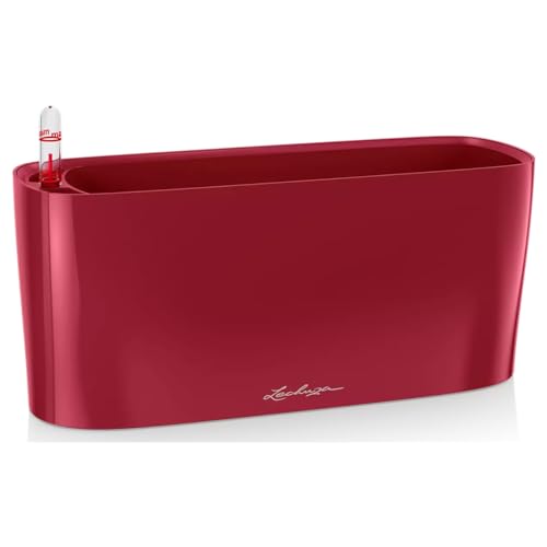 LECHUZA DELTA 10 rosso scarlatto lucido 15469 - Auto & Motorcycle Amazon Italy à 22.99€