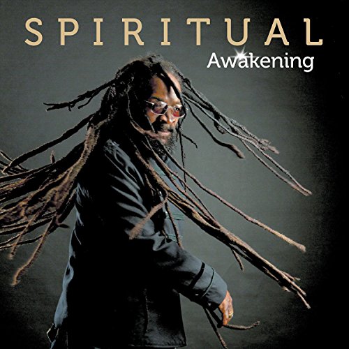 Awakening [Vinyl LP] - Musique & Instruments Amazon Allemagne à 12.00€