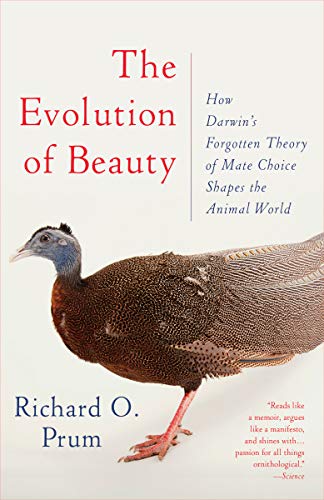 The Evolution of Beauty: How Darwin's Forgotten Theory of... - Beauté & Parfums en promo à 2.99€