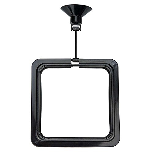 Hobby 61304 Feeding Station 2 Carré 10 x 10 cm - Auto & Moto Amazon France à 6.96€